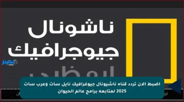 اضبط الآن تردد قناة ناشيونال جيوغرافيك نايل سات وعرب سات 2025 لمتابعة برامج عالم الحيوان